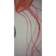 Hiruuu0 KaKKi Arts
